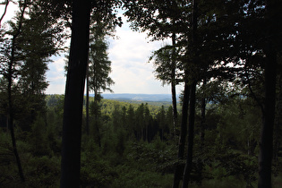 Blick aus dem Seulingswald nach Westen