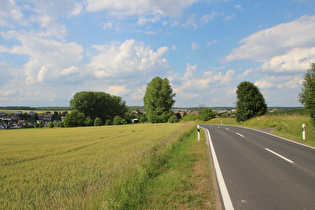 zwischen Friewald und Motzfeld, Blick nach Norden zum Seulingswald …