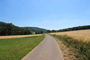 Radweg im Nüsttal zwischen Mackenzell und Silges, Blick nach Osten