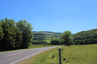 letzte "Bodenwelle" vor dem Anstieg zur Wasserkuppe