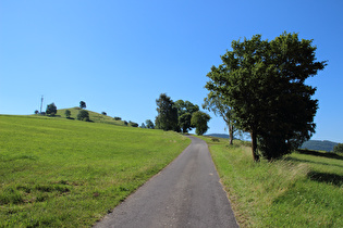 Radweg zwischen Gersfeld und Rodenbach, Steilstück, Blick bergauf …