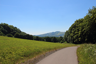 zwischen Schwedenschanze und Oberweißenbrunn, Blick zum Kreuzberg