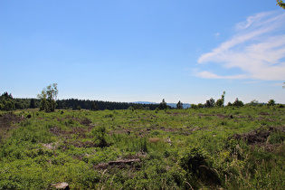 zwischen Hochrhönstraße und Frankenheim/Rhön, Blick zur Wasserkuppe