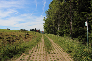 … und Blick nach Westen