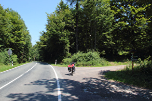 Frauenseer Forst / Am Kreuz, letzter Sattelpunkt der Tour; Blick nach Norden, …