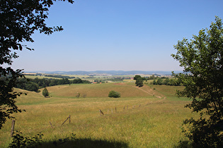 Blick vom Frauenseer Forst nach Nordwesten