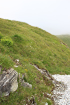 weit oberhalb der montanen Baumgrenze, im Rahmen dieser Tour …