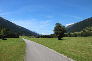 Blick auf Uberrotte und die Waliser Alpen mit dem Weisshorn am Horizont