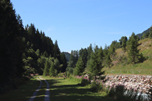 Engstelle nördlich von Niederwald