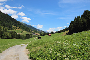 welliges Streckenprofil zwischen Niederwald und Steinhaus, Blick talaufwärts