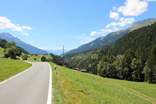 Blick talabwärts auf die Talstufe bei Ernen