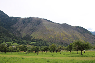 Blick von Brigerbad auf Eyholz und toten Bergwald darüber