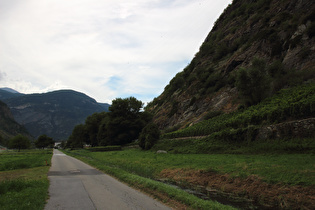 ein erster Hang mit Rebstöcken im Rhonetal zwischen Brigerbad und Visp