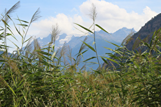 Zoom auf das Distelhorn, dahinter v. l. n. r.: Balfrin (in Wolken) mit Balfringletscher, Lägundegrat und Seetalhorn