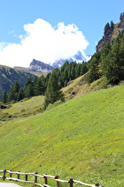 etwas später, Blick auf das immer noch wolkenverhangene Matterhorn