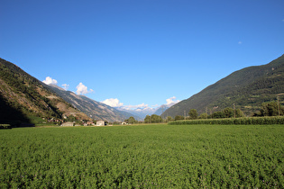 Blick talaufwärts über Gampel und Steg