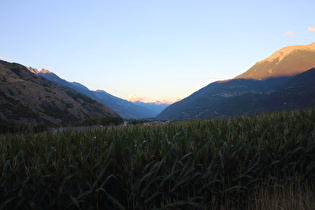 Blick von Susten talaufwärts auf das Ergischhorn, am Horizont <i>v. l. n. r.:</i> Hillehorn und Bortelhorn