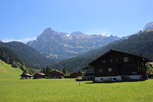 in Oberried, Blick auf Ammertenhorn und Laubbach, dahinter der Wildstrubel