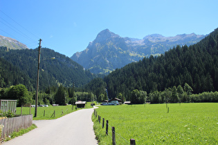 Blick talaufwärts auf die Simmenfälle und das Ammertenhorn