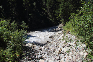 Blick flussabwärts, Bereich direkt unterhalb der Simmenfälle