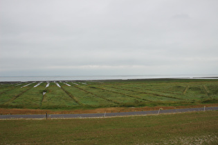 … Blick nach Norden über das Gröninger Platt, am Horizont Spiekeroog …