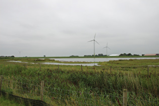 Jheringsgrodendeich, Blick nach Südosten über einen See hinter'm Deich