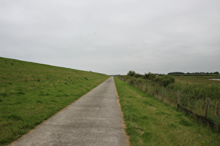 Radweg hinter'm Jheringsgrodendeich, Blick nach Osten