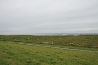 … Blick nach Nordwesten, am Horizont v. l. n. r.: Langeoog und Spiekeroog, …