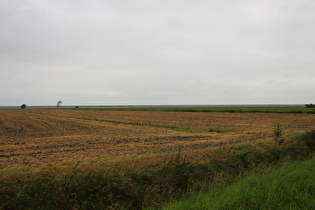 "reizarme Landschaft" zwischen Harlesiel und Schillig, Blick nach Norden, …