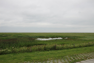 zwischen Harlesiel und Schillig, Deichvorland bei Ebbe, Blick nach Norden …