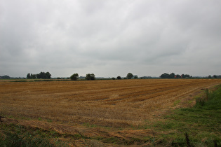 zwischen Crildumersiel und Waddewarden, Blick nach Nordwesten