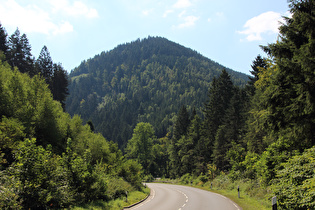 Okertal südlich von Oker, Blick nach Süden