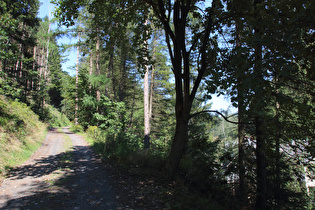 westlich oberhalb Romkerhalle, Blick nach Norden