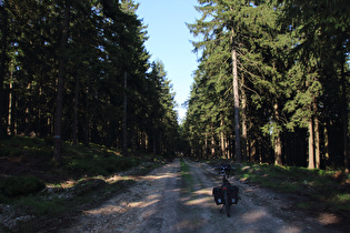 "Alte Harzstraße" zwischen Auerhahn und Goslar