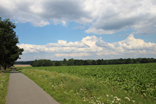 zwischen Velgen und Bardenhagen, Blick nach Norden …