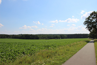 … und Blick nach Süden