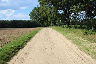 Sandpiste zwischen Südergellersen und Westergellersen