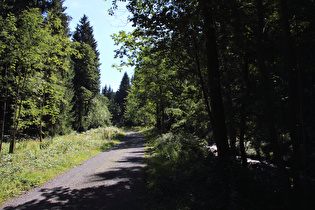 Tal der Großen Oker südlich von Altenau
