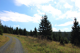 Weg zum Bruchberg, Blick nach Süden