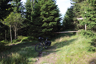 Ende im Gelände