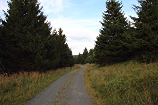 Unterer Bruchbergweg, irgendwo