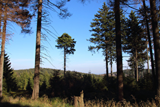 Blick vom Brockenbett nach Süden, …