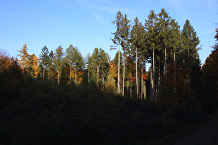 der Herbst wirft lange Schatten