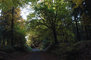 Steilstück auf dem Weg zur Laube