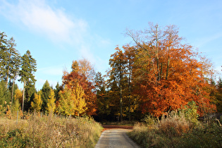 Laube, Blick nach Osten