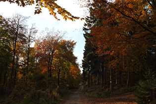 Kammweg, Blick Richtung Bröhn