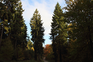 Kammweg, Blick Richtung Laube