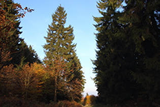 Hohe Warte, Blick nach Nordosten