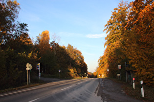 Nienstedter Pass, Passhöhe, Blick nach Nordosten