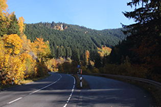 Klippe "Großer Kurfürst" über dem Okertal